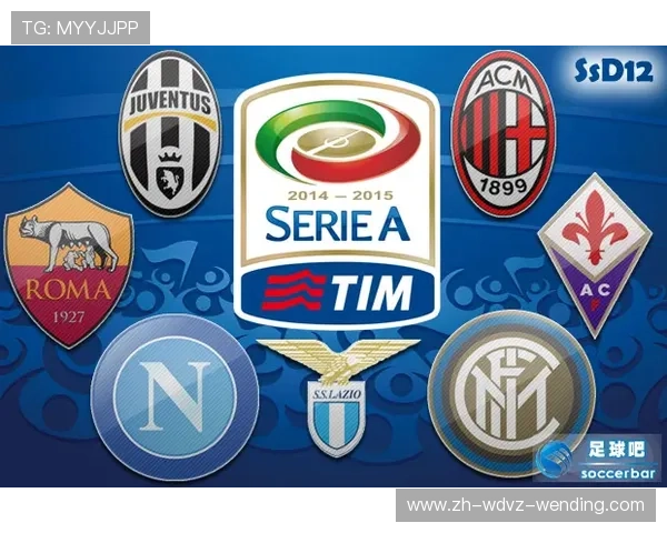 意甲联赛各支球队的年收入数据公开